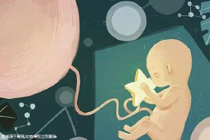 拉拉试管三代代孕机构
